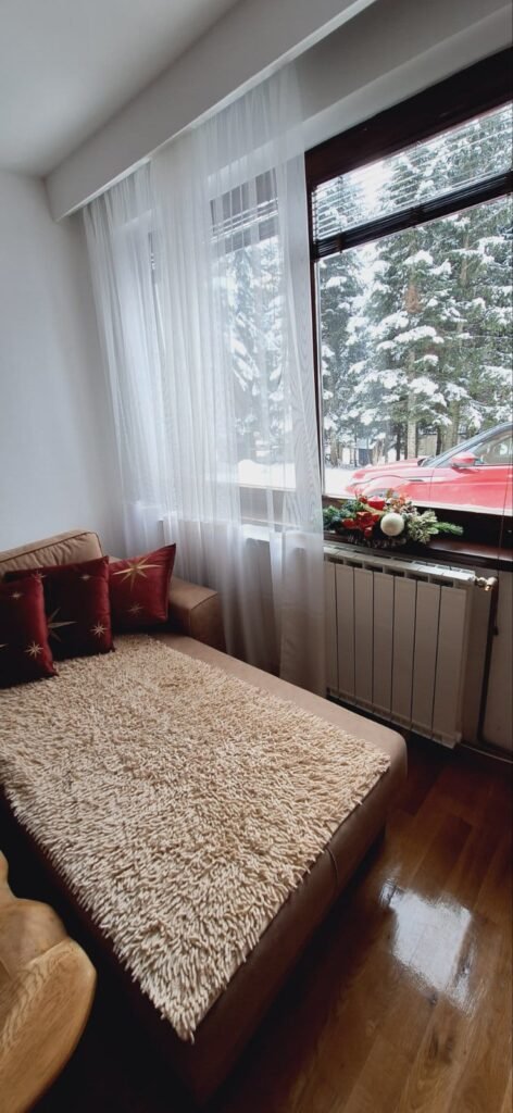 Pogled iz dnevnog boravka na jelovu šumu – Peko apartman Jahorina