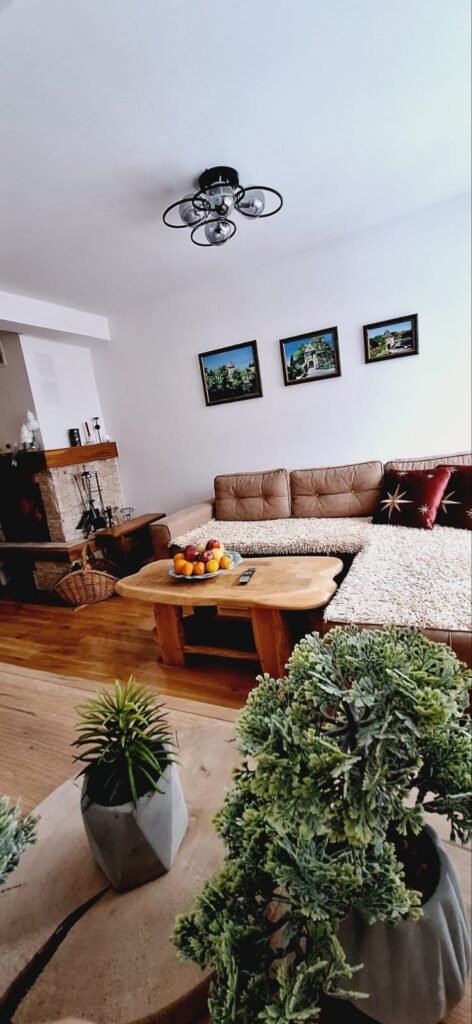 Dnevni boravak sa sofom i zelenilom – Peko apartman Jahorina